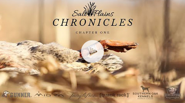 Chapter one