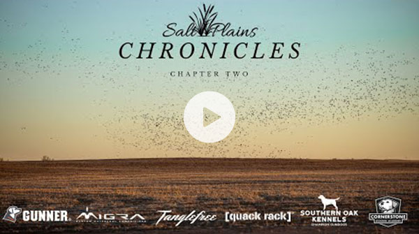 Chapter two